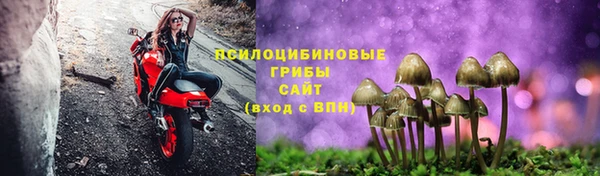 тгк Арсеньев