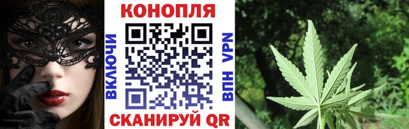 Бошки марихуана марихуана  Купить закладки  Дегтярск 